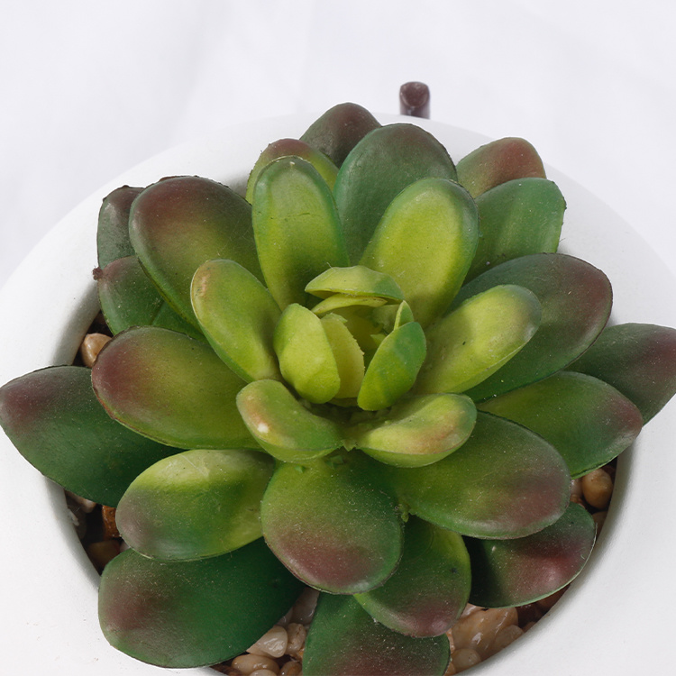 Plastic-Plants-Artificial-Succulent-Gardening-Decoration-Succulents-Bonsai (5).jpg 
